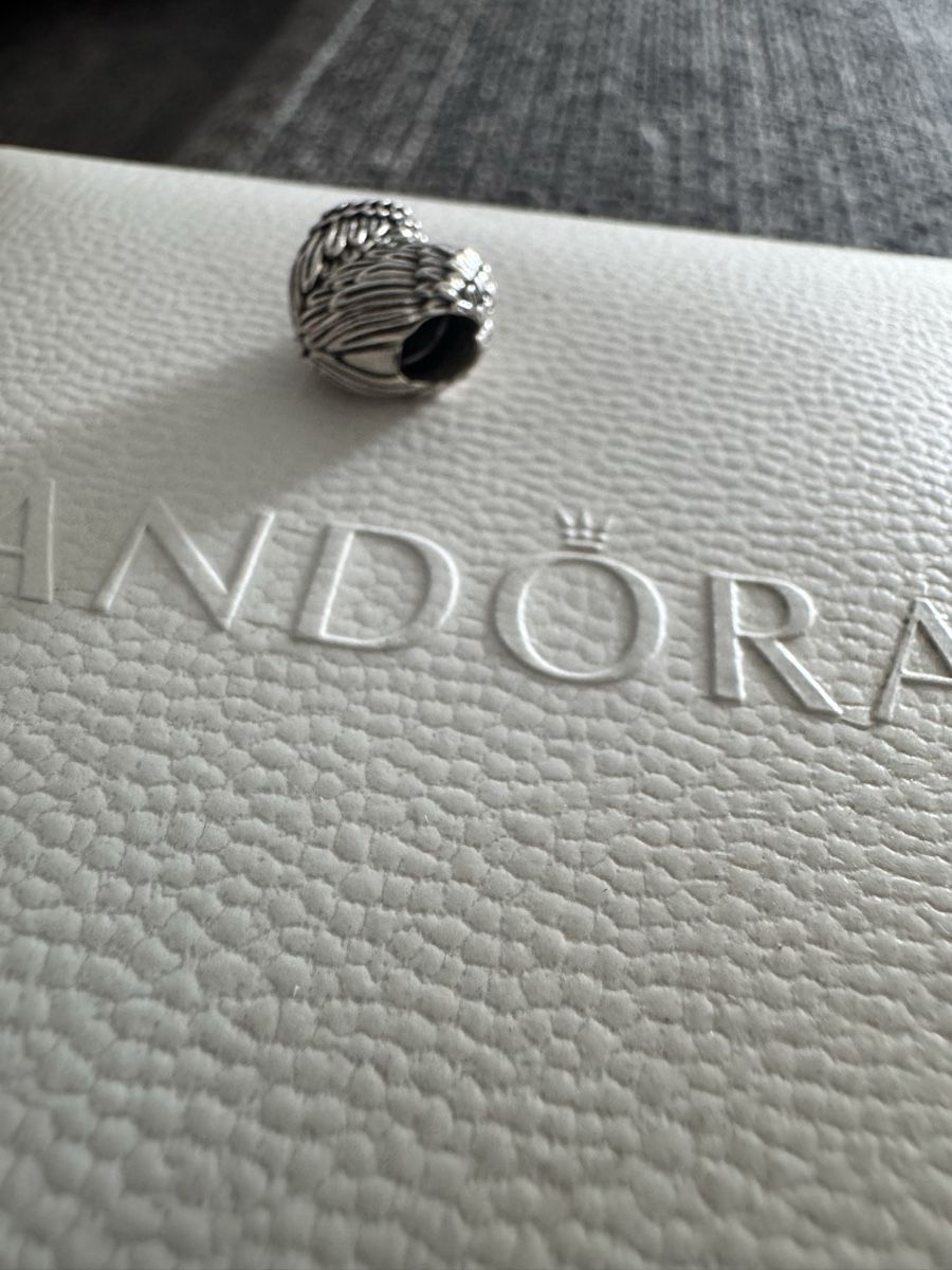 Pandora Pendentifs: Pandora Charm – Neuf (Voir description) à Kerzers par SaphiraKH