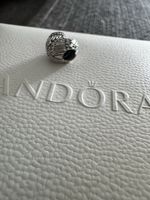 Pandora Charm