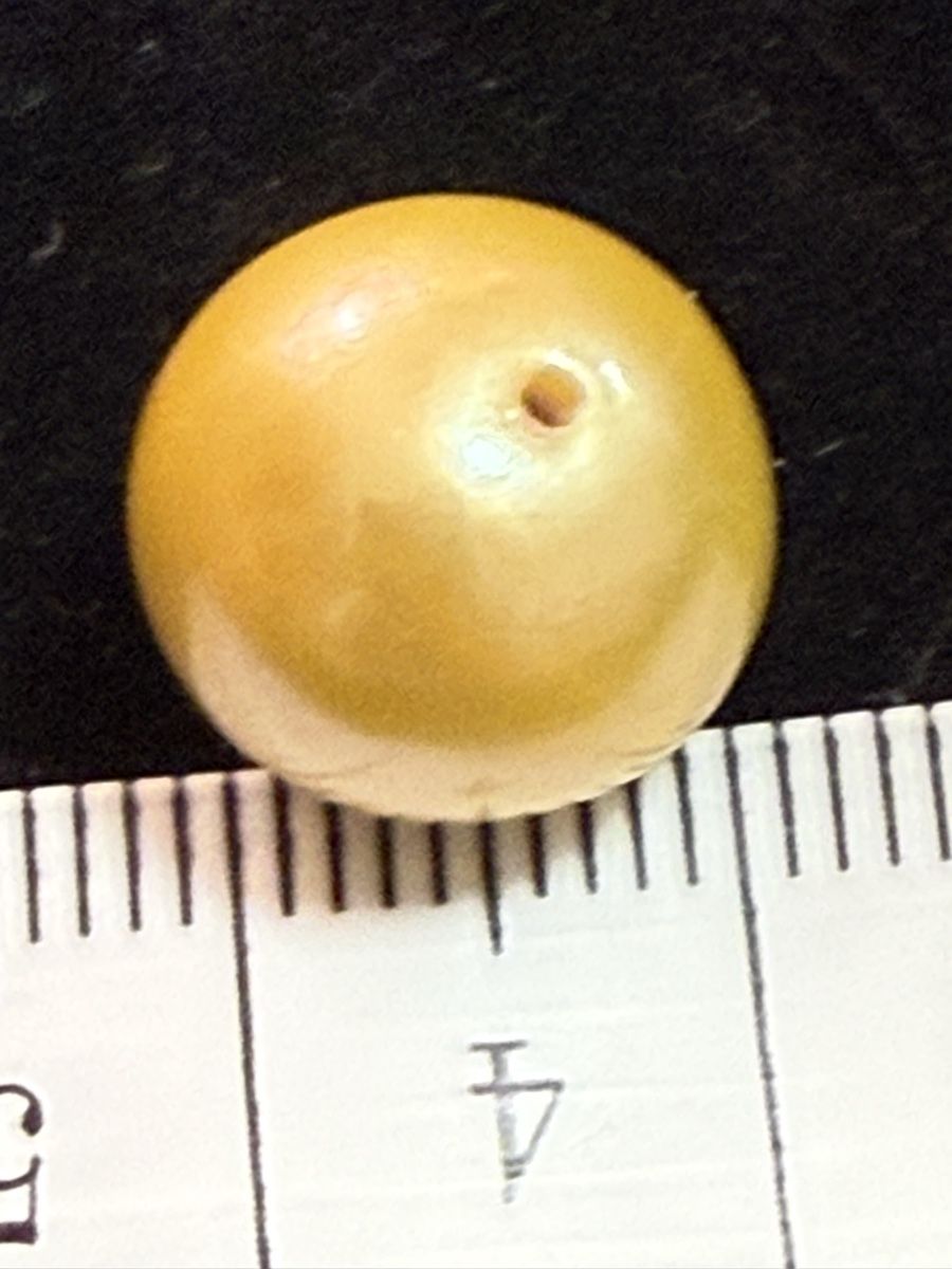 Perle (finte): Echt Südsee Perlen Goldener Farbe – Nuovo (secondo la descrizione) da Oberhof venduto da RealStone 2