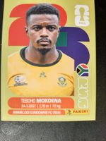 Panini 2026 RSA11