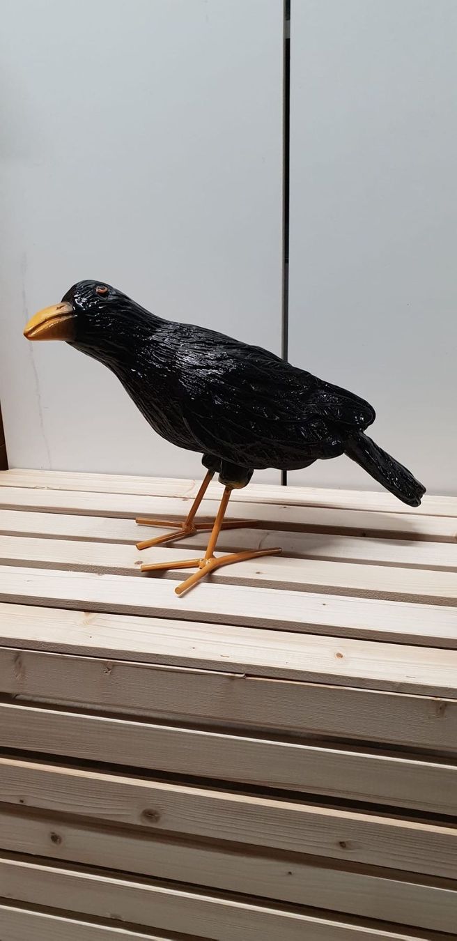 Figuren: Rabe – Neu und originalverpackt aus Bern von zwirbelch 1