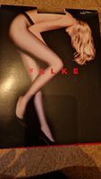 Falke