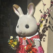 Profile image of bre_5cfk