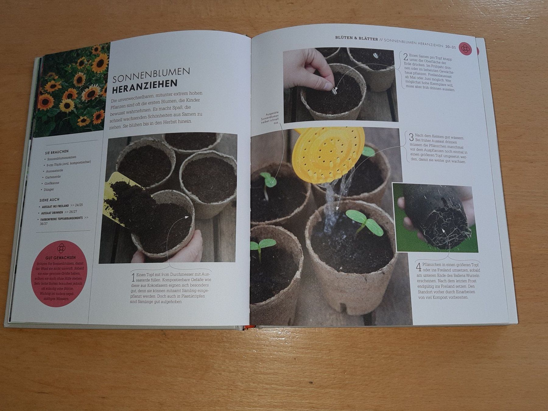 Bücher: So geht Garten: Das Gartenbuch für Einsteiger – Gebraucht aus Rotkreuz von nigal 5