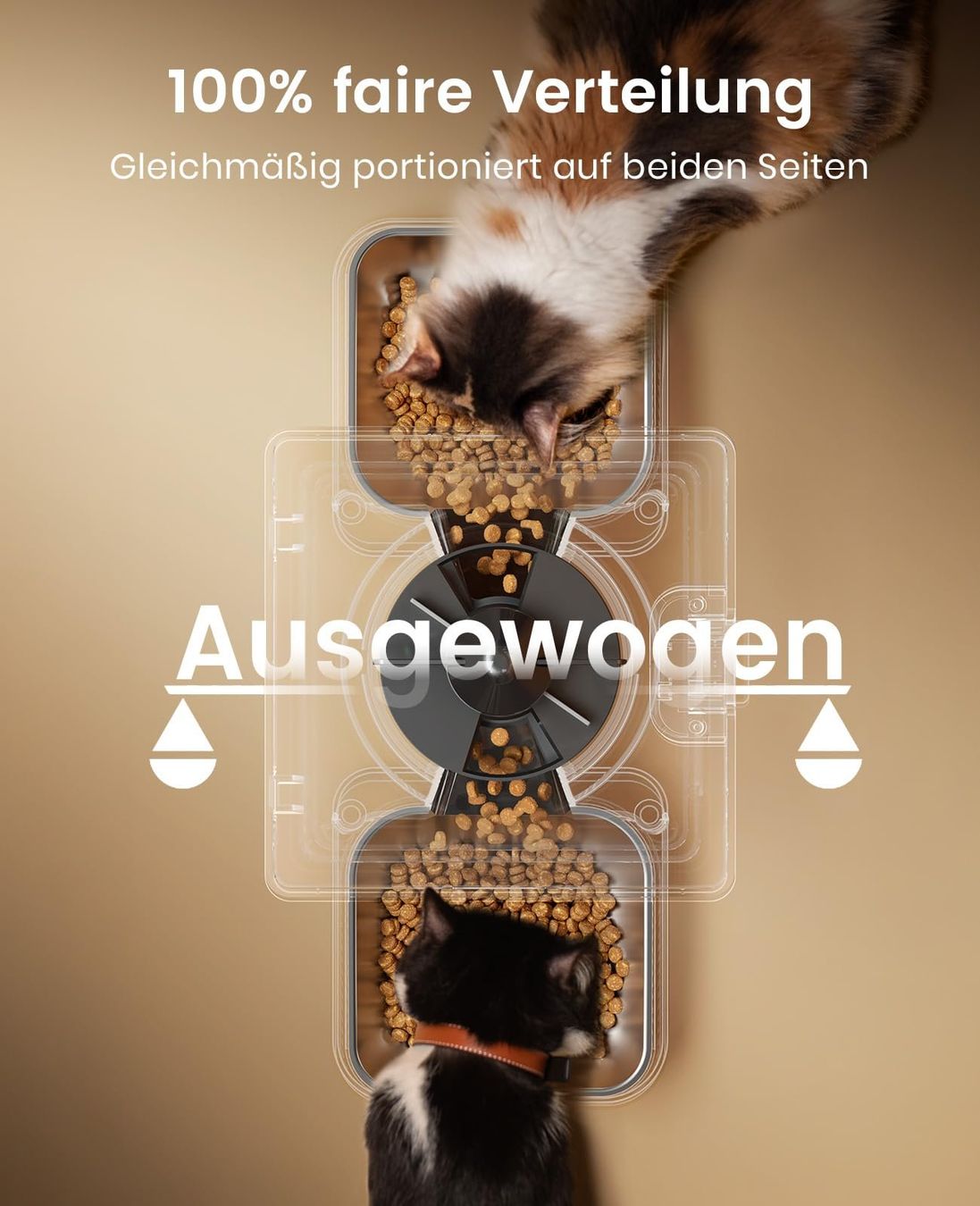 Futter: Futterautomat Katze 2 Näpfe automatisch – Neu und originalverpackt aus Basel von EchoPeak 3