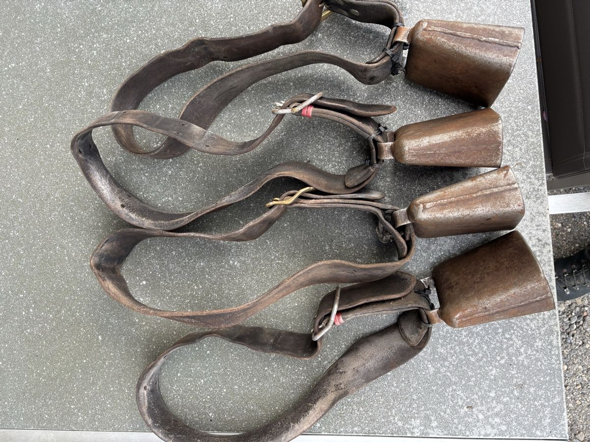 Glocken & Treicheln: 4xGotthardt NR 4. – Gebraucht aus Schangnau von Roseggli82 9