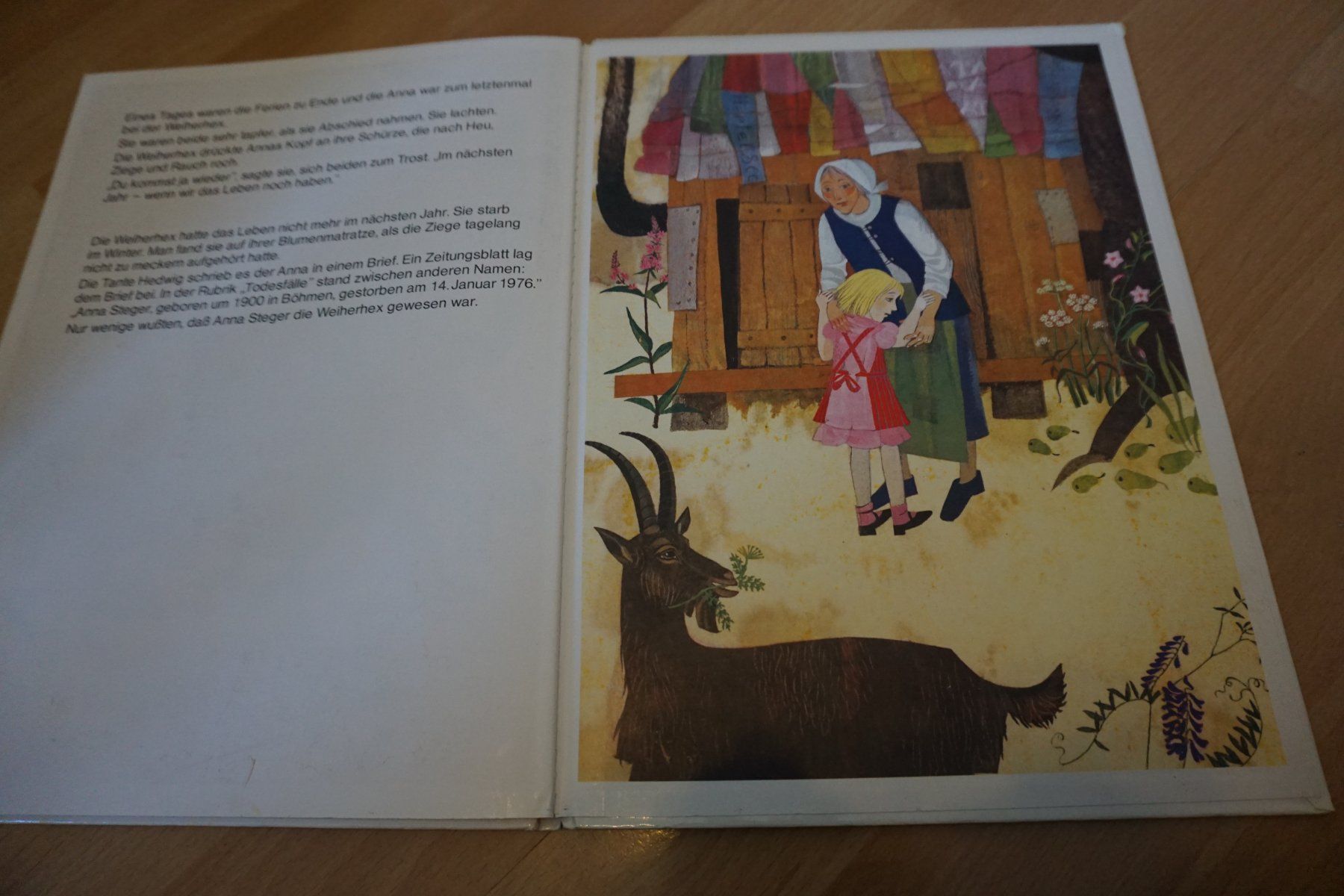 Libri: Bilderbuch Anna und die Weiherhex – Usato da Zürich venduto da einalemjena 3
