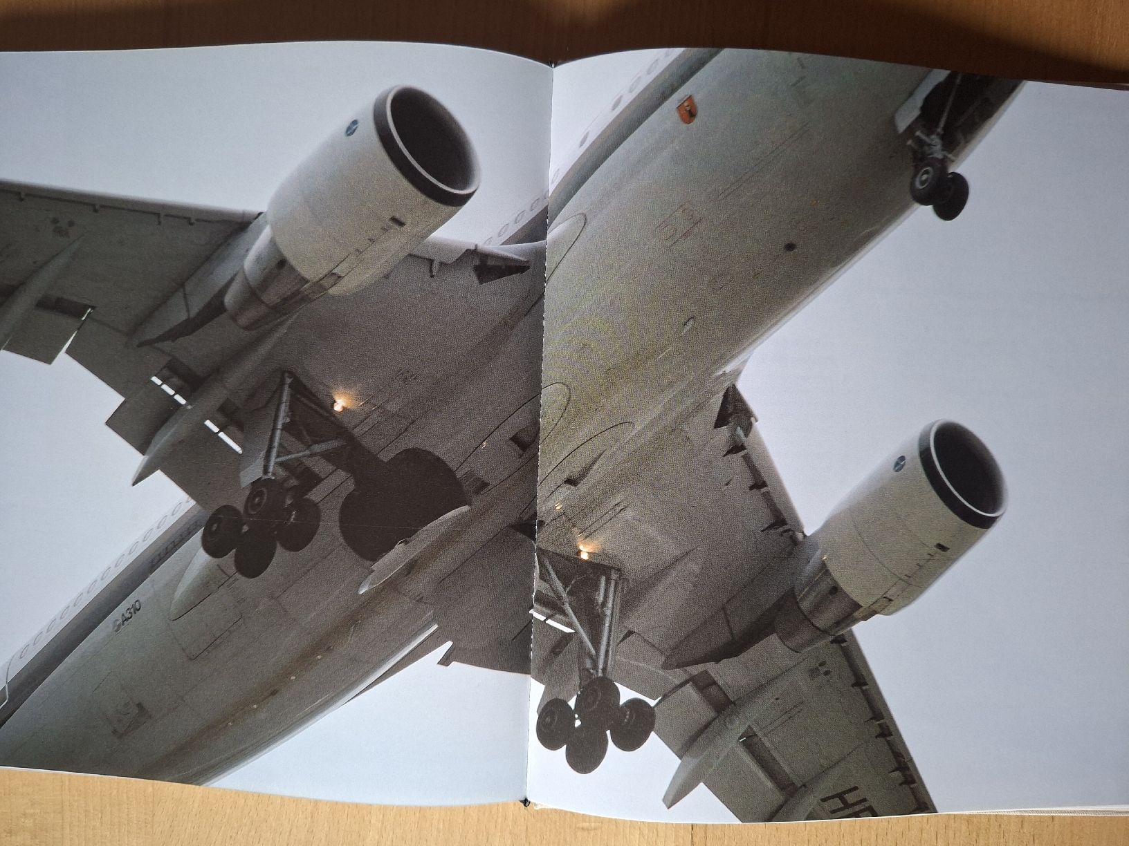 Bücher: Buch,  Tausend Berufe für ein Flugzeug – Gebraucht aus Schwanden Sigrisw von cadieux71 7