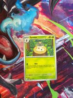 Spewpa Normal 008/088 Perfect Order English