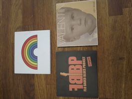 CD Lot (3 Stk.): Flo Bauer, The Fires, Homesick - Rock
