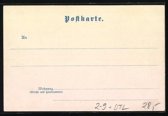 Ansichtskarten: Litho Braunschweig, Dame mit einem Löwe – Gebraucht aus Berlin von bartko-reher 1