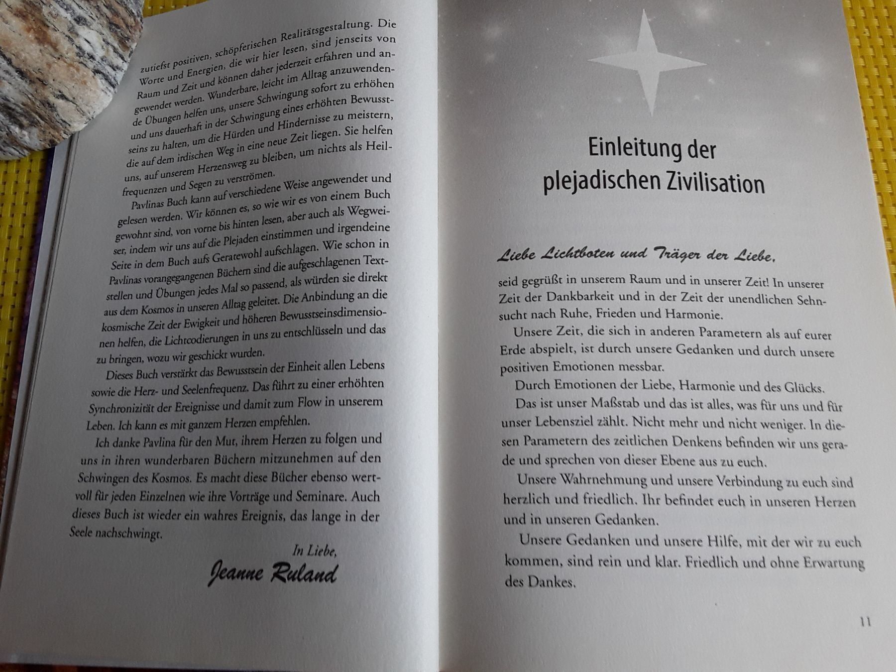 Libri: Lichtbotschaften von den Plejaden  5 – Nuovo e nell'imballaggio originale da Rebstein venduto da Buchsi03 5