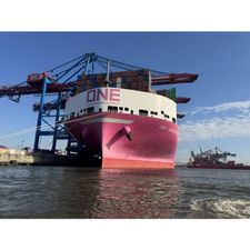 Profile image of Rojo04