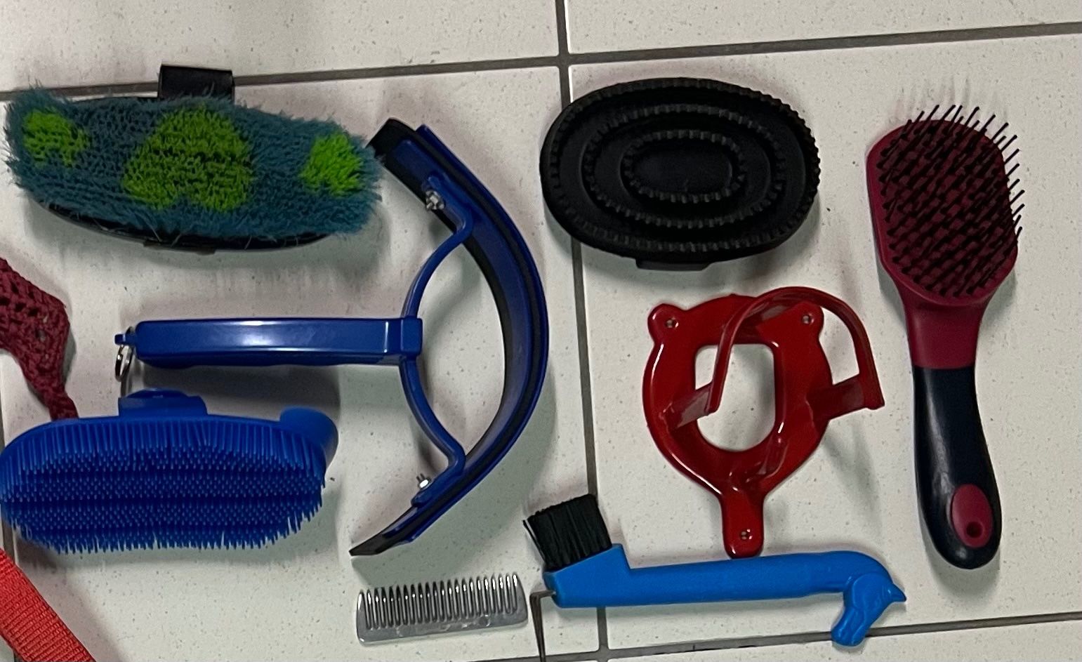 Altro per la casa: Kit per la pulizia del cavallo con cassetta Showmaster – Usato da Pura venduto da viv_nz8r 3