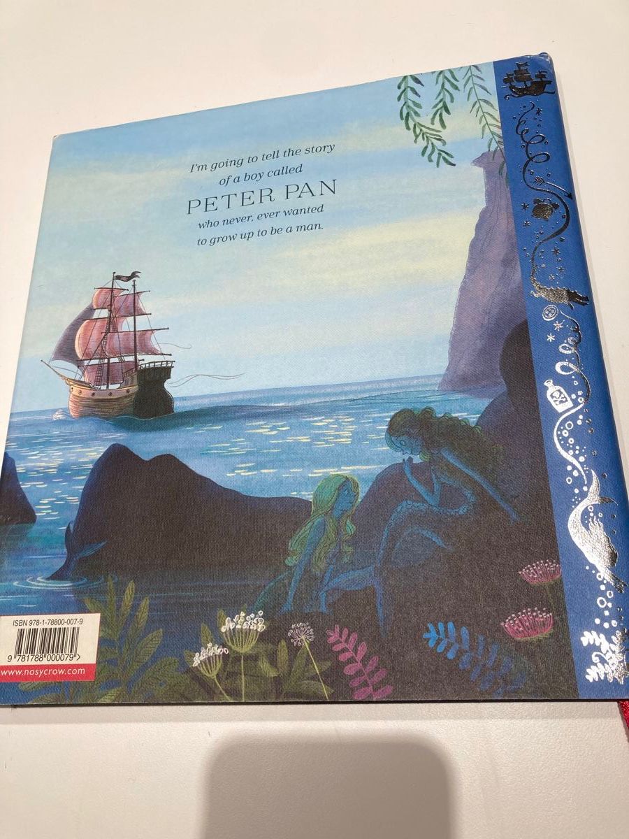 Libri: Peter Pan illustrated book – Usato da Winterthur venduto da niemim 1