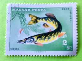 Briefmarken aus Ungarn gestempelt Siehe Original Fotos. 