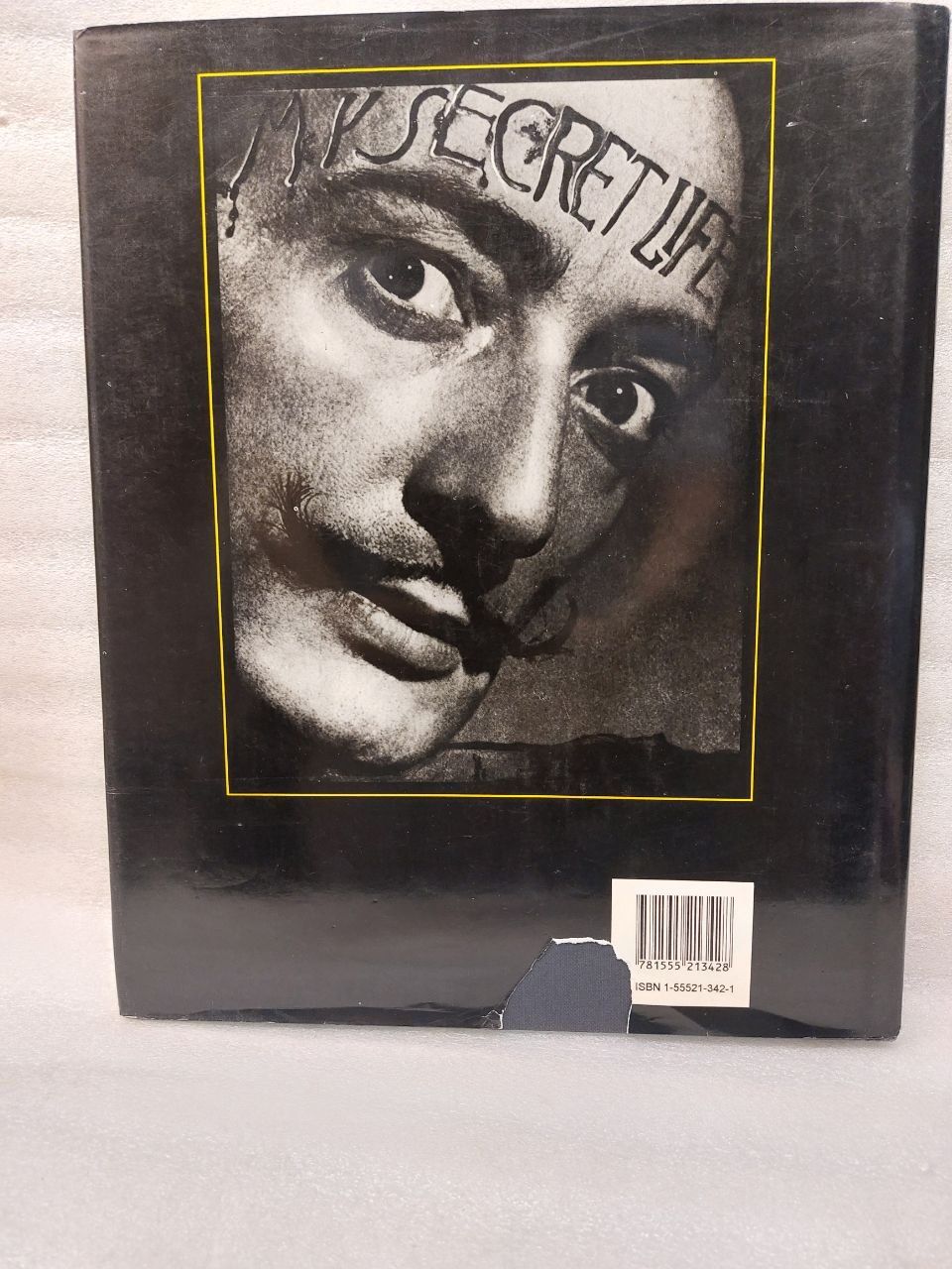Libri: Dali by Ramon Gomez de la Serna - 1979 – Usato da Pambio Noranco venduto da TREBORLOP 3