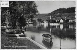 Stein a. Rh. mit Schloss Hohenklingen