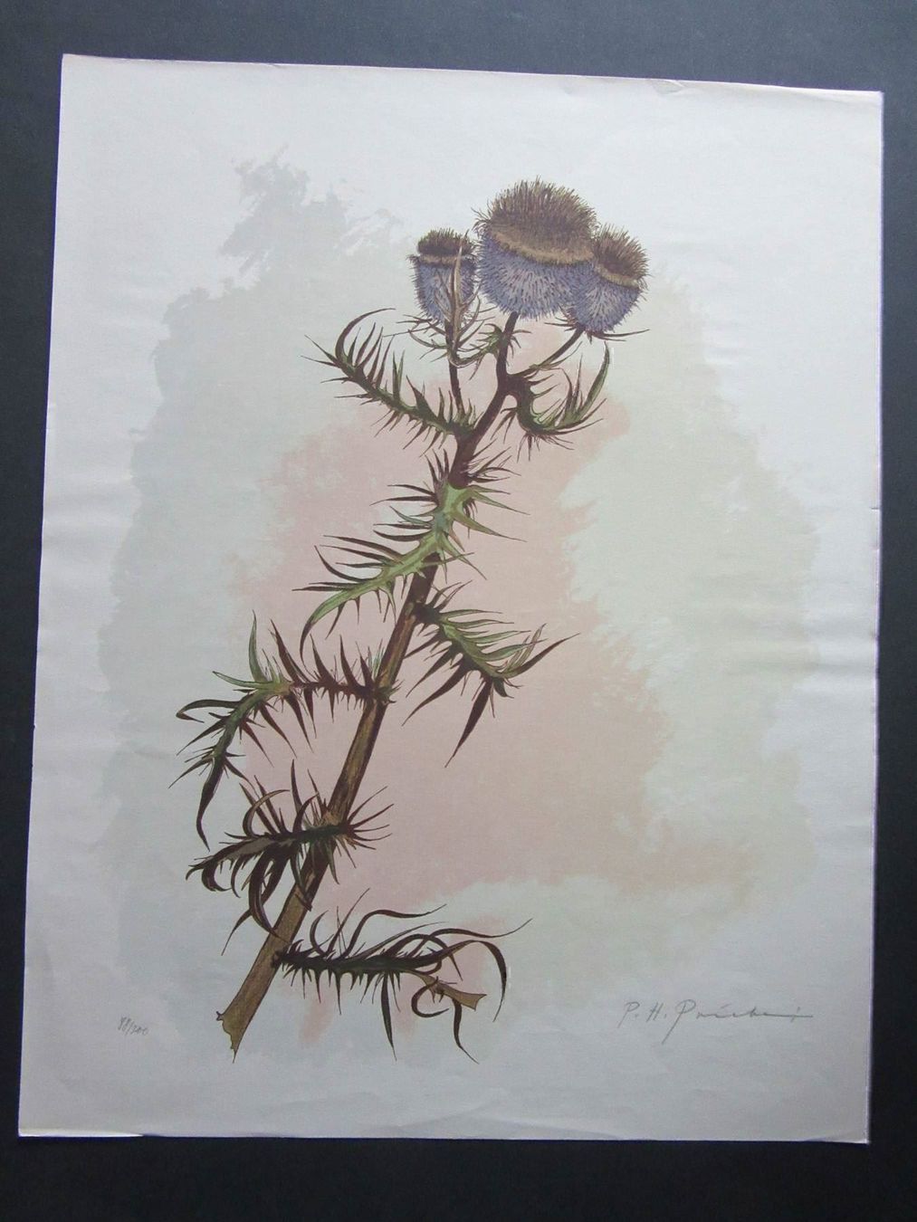 Arts picturaux & lithographies: P.Hans Priebe,  Litho  signiert datiert – D'occasion à Gersau par kunst-online