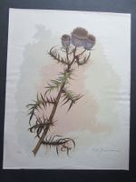 P.Hans Priebe,  Litho  signiert datiert