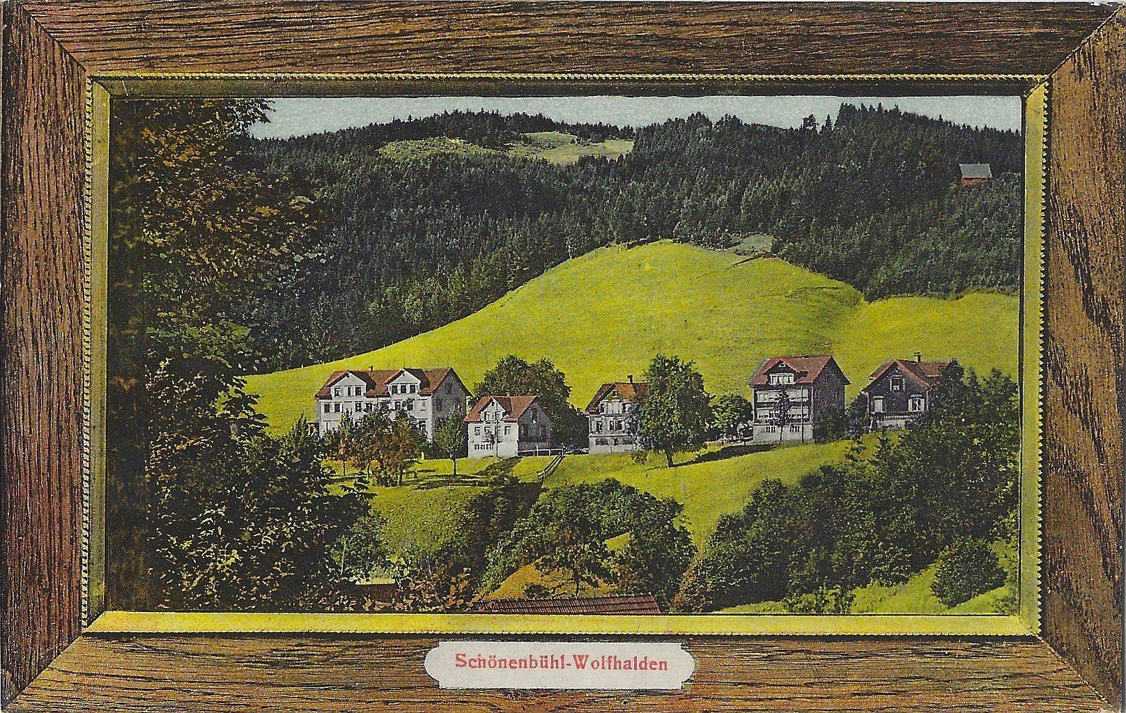 Cartoline postali: Schönenbühl - Wolfhalden  -  Teilansicht – Usato da Bütschwil venduto da Jackson1A