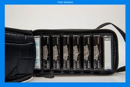 Bryco MiniDV RAX astuccio per 8 MiniDV