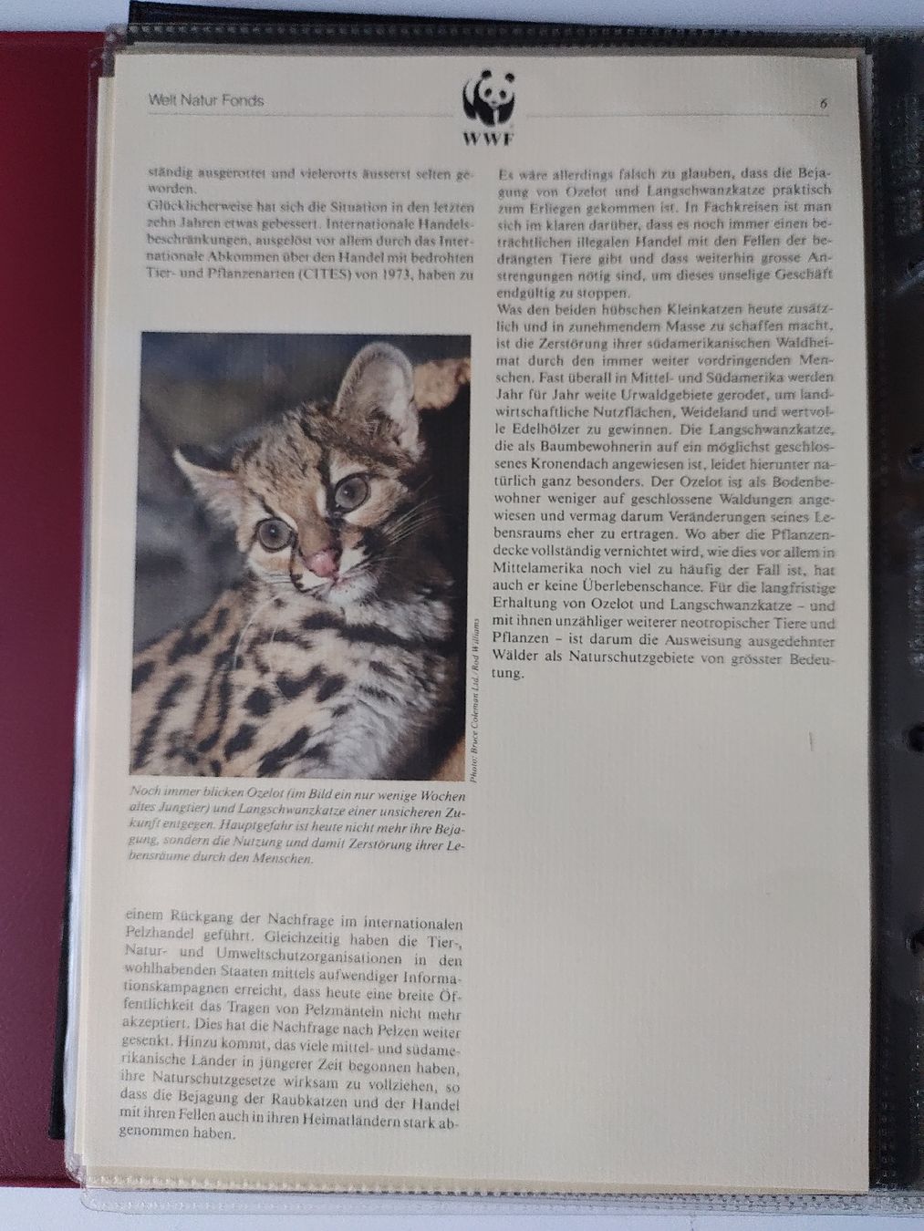Tutti i francobolli: WWF Ozelot Langschwanzkatze Briefmarken Sammlung – Nuovo (secondo la descrizione) da Greifensee venduto da Retepw 5