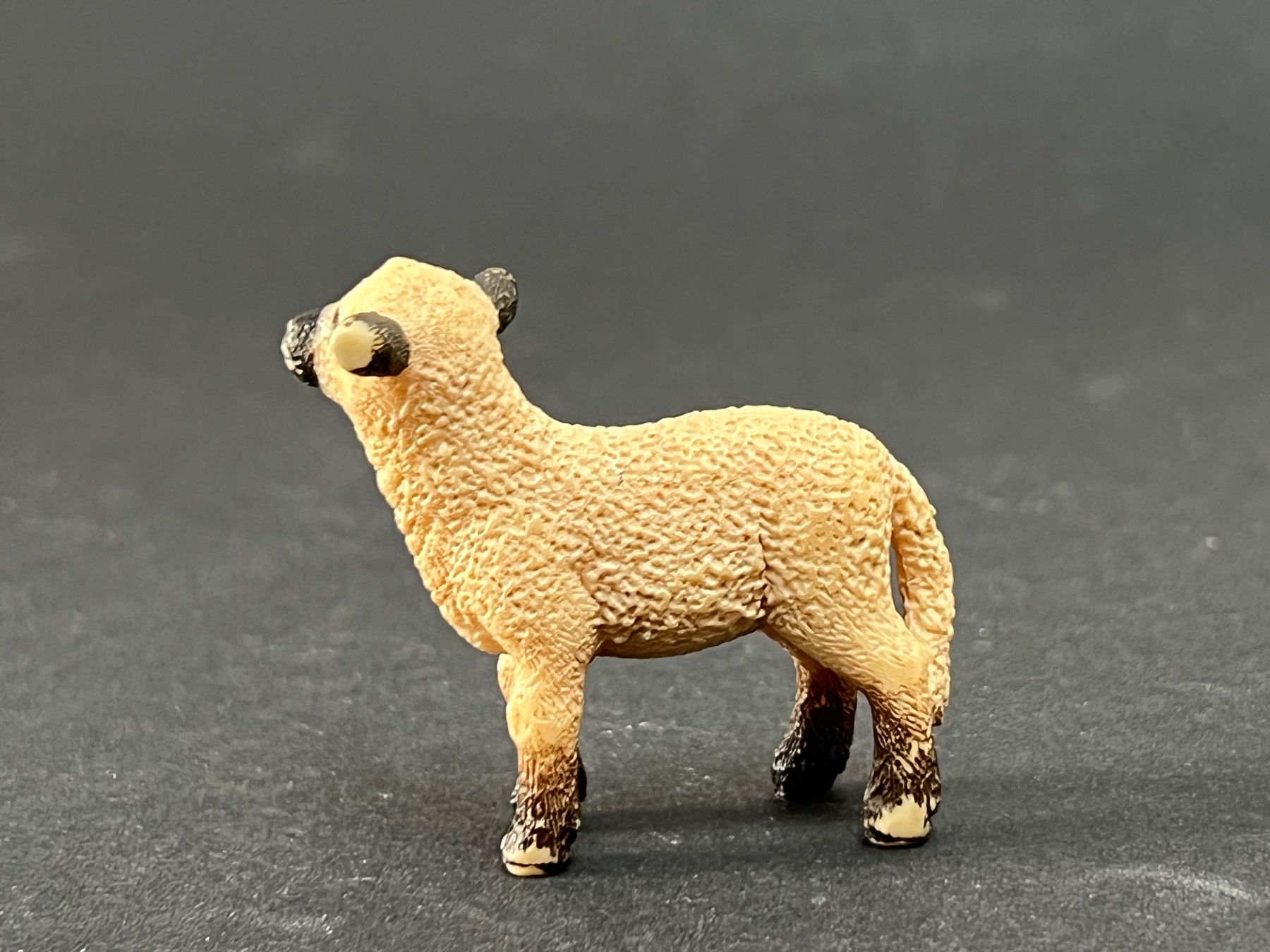Schleich Figuren: Schleich 13681 Shropshire Schaf – Gebraucht aus Ennetbaden von mapa05 4