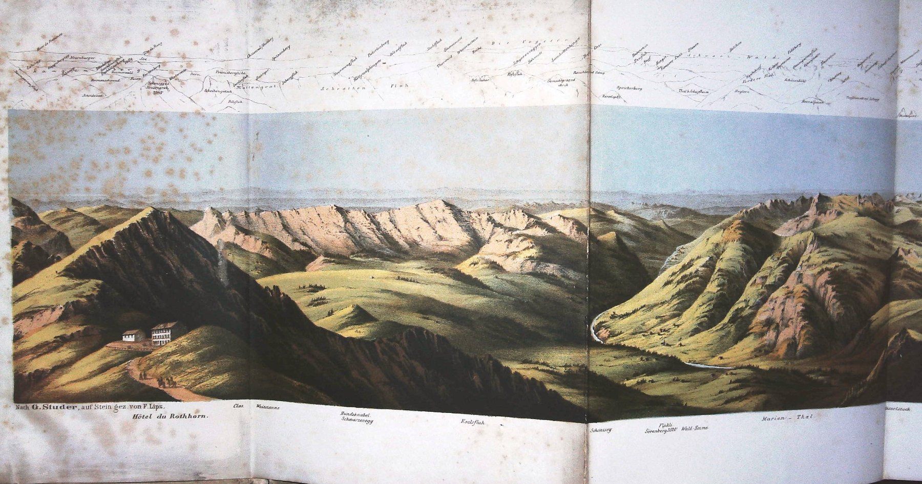 Stiche: Brienzer Rothorn   Panorama von G. Studer 1865  selten – Gebraucht aus Rafz von booksell 2