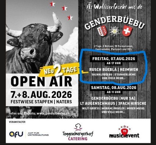 Biglietti: Genderbüebe OpenAir 2026 – Usato da Jona venduto da levio