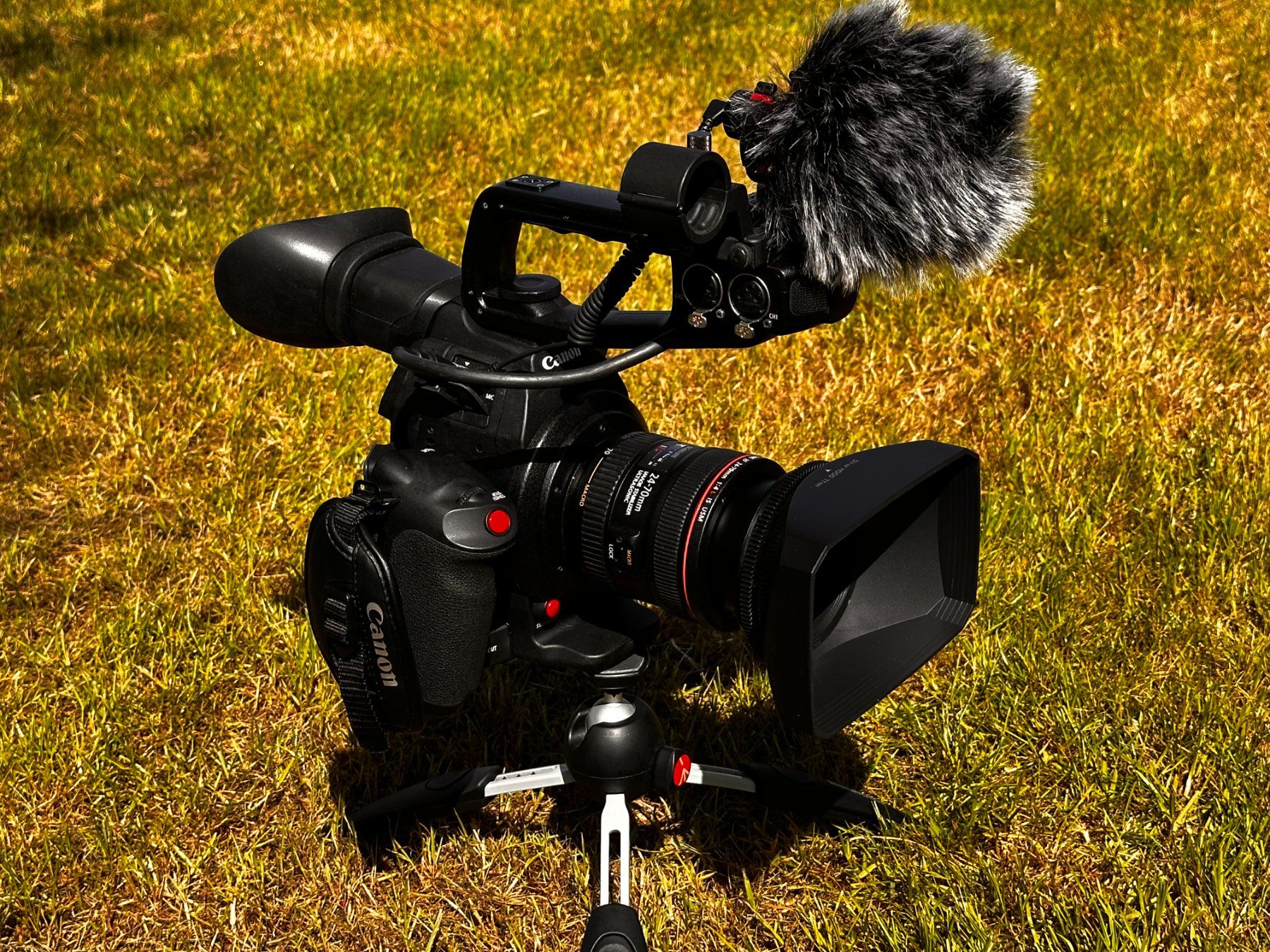 Canon Camcorder: Canon EOS C100 Mark II + objectif série L – kit complet – Gebraucht aus Vicques von UncleBen-s 6