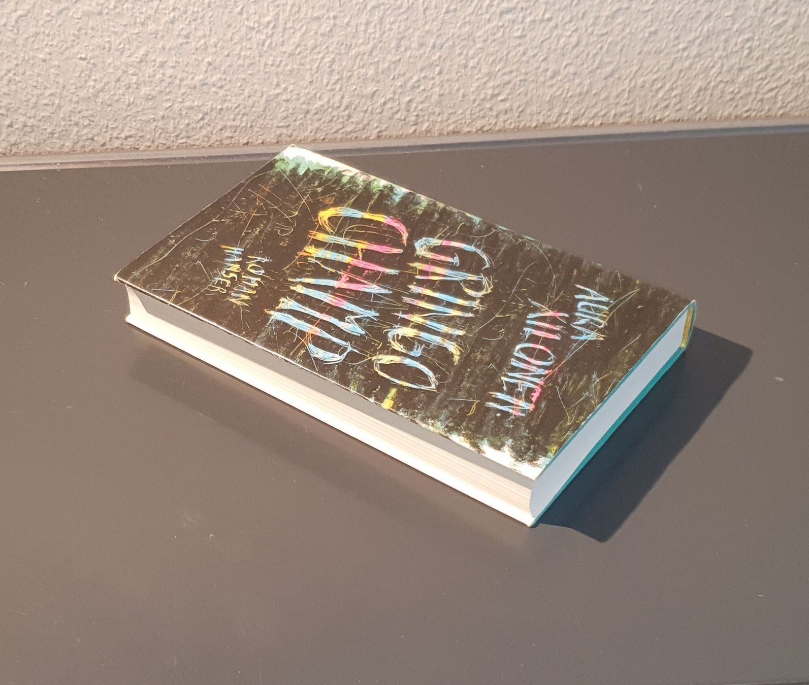 Libri: Gringo Champ von Aura Xilonen/1. Auflage – Usato da Dübendorf venduto da Povo 3