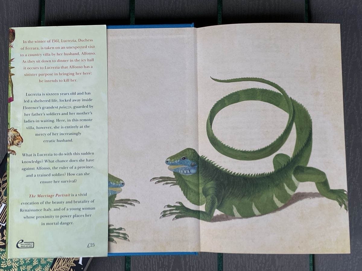 Libri: Bücherset – Usato da Möhlin venduto da ser_85rz 3