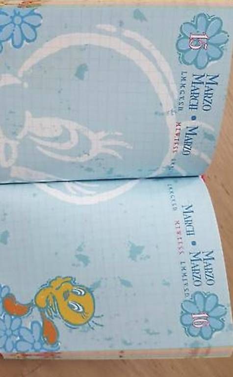 Bücher: NEU Schulagenda Tweety Mädchen – Neu und originalverpackt aus Uster von Mooreas 3