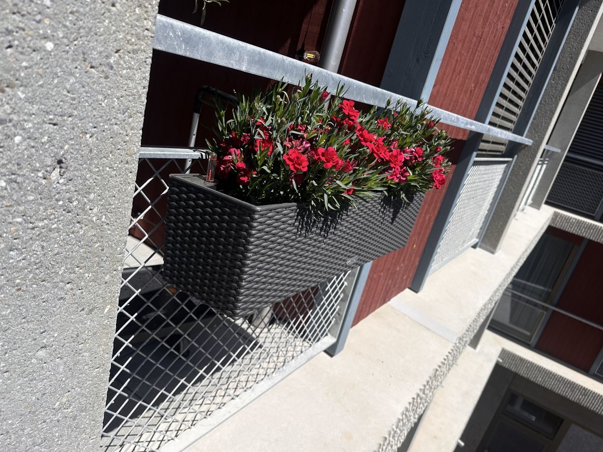 Lechuza Vasi per fiori: Lechuza Balconera Cottage – Nuovo (secondo la descrizione) da Biel/Bienne venduto da Blueflug 4