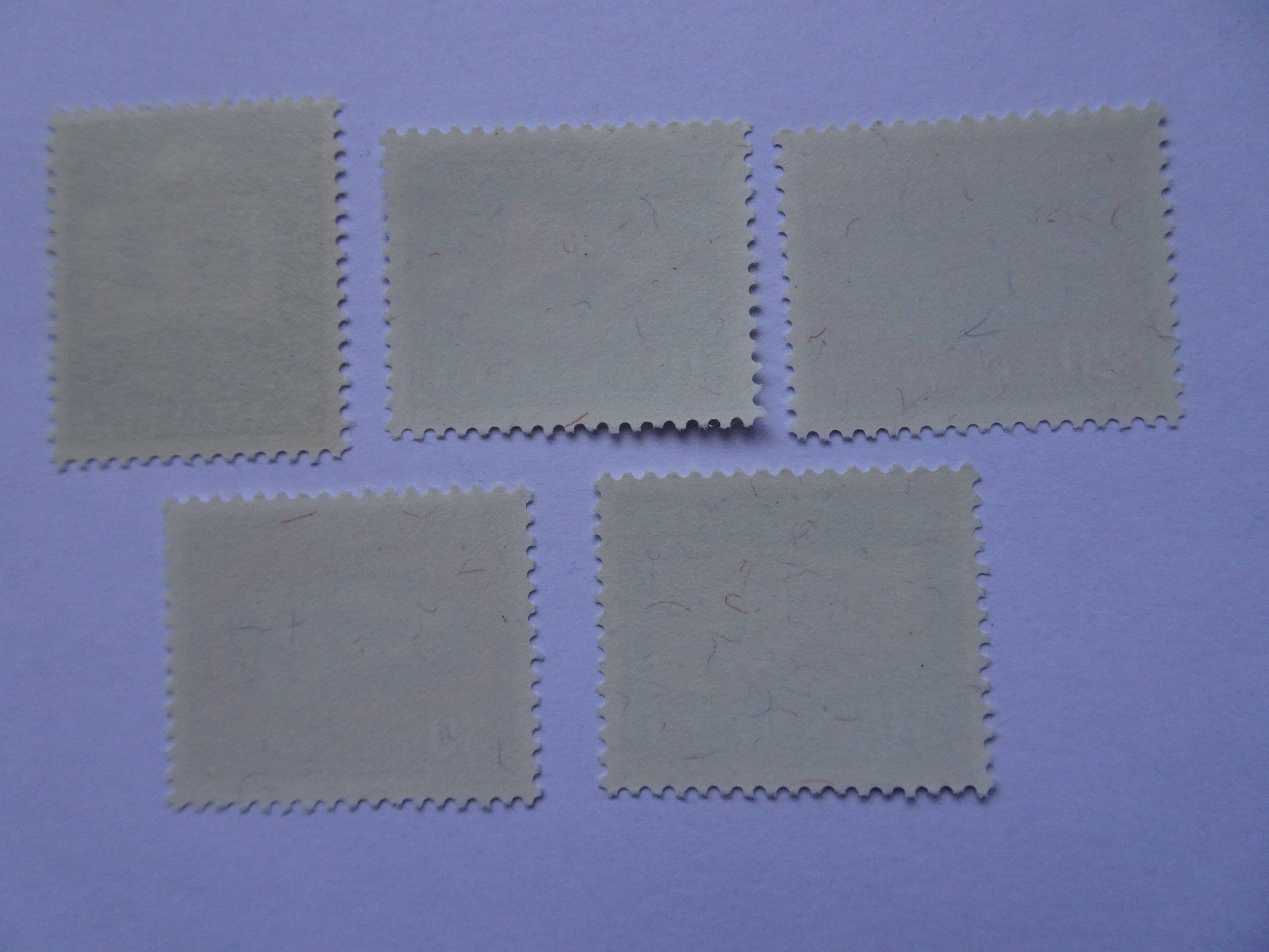 Alle Briefmarken: PP 1961* – Neu (gemäss Beschreibung) aus Aadorf von Chnorli-Furz 1