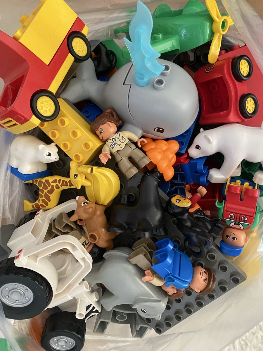 Lego Giocattoli: Lego duplo ZOO – Usato da burgdorf venduto da kaethiduebi