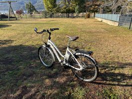 Flyer 36 Volt 25km/h