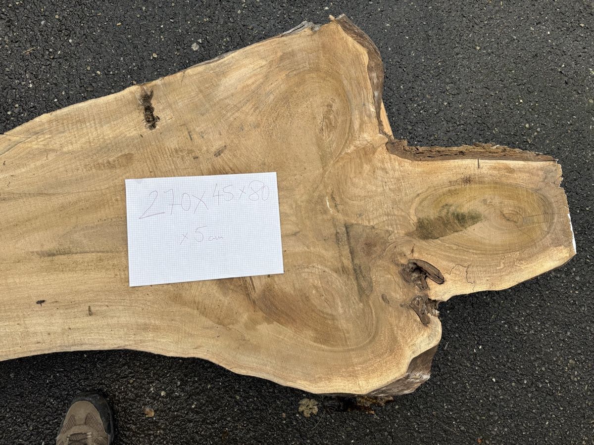 Articoli in legno: Nussbaum Klotzbrett 270  cm lang! – Usato da Gränichen venduto da onkel_xxl 3