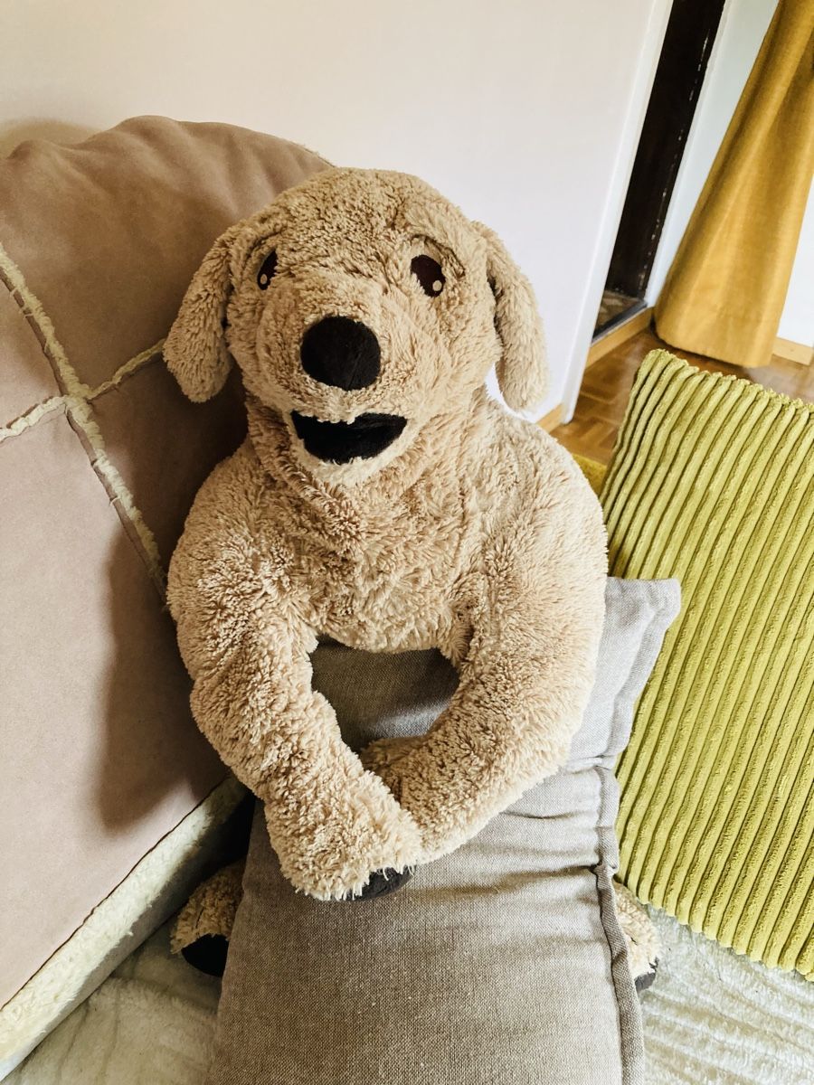 Ikea Giocattoli: Grande peluche chien tout doux – Nuovo (secondo la descrizione) da Ardon venduto da hel_2sxp 5