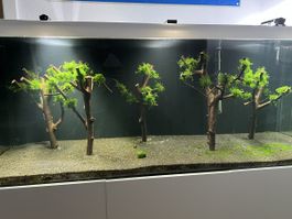 Aquarium Deck Planze Holz Aquarium Baum