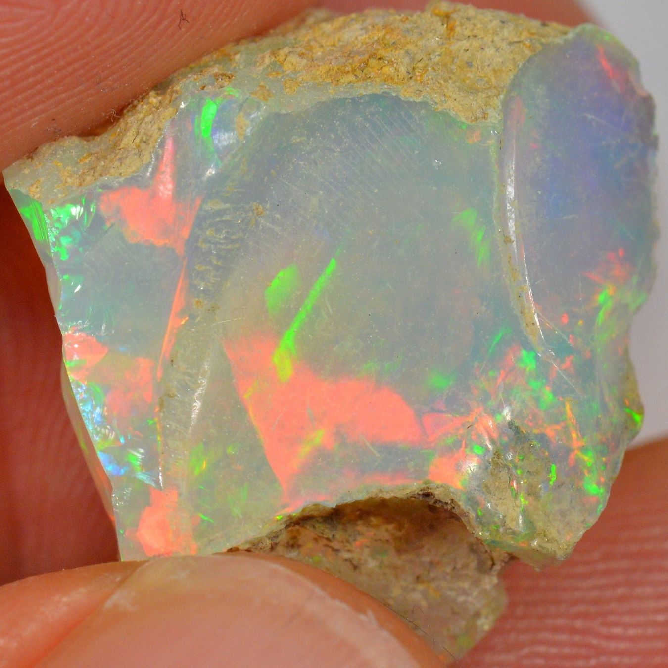 Pierres précieuses: 19.2 Karat - Roher Äthiopischer Welo Opal – Neuf (Voir description) à Rüti ZH par DeinOpal 4