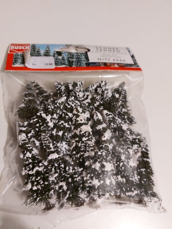 20 Stk Schneetannen 30-60mm hoch | Kaufen auf Ricardo
