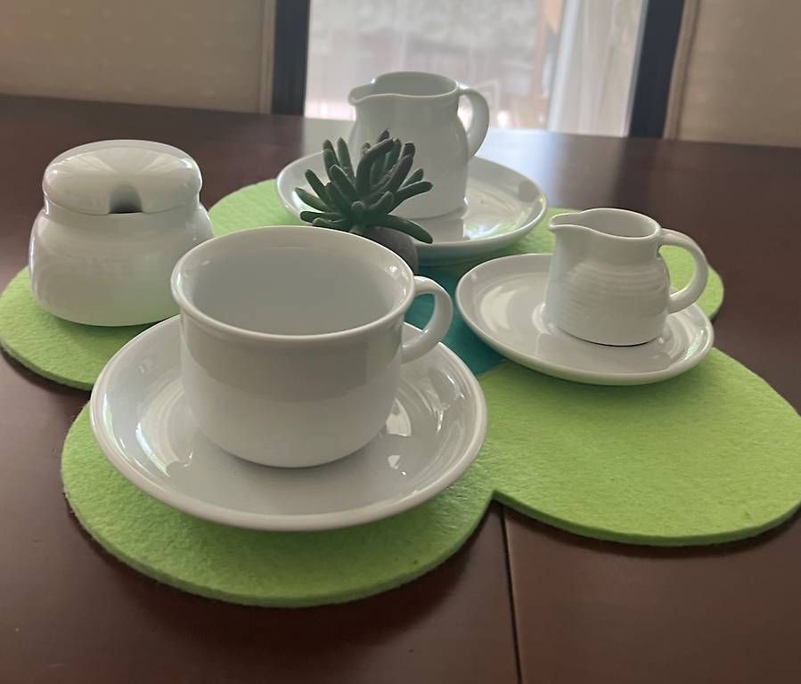 Set di piatti: Kaffee Service Bauscher/Thomas – Usato da Obernau venduto da Antarctica4