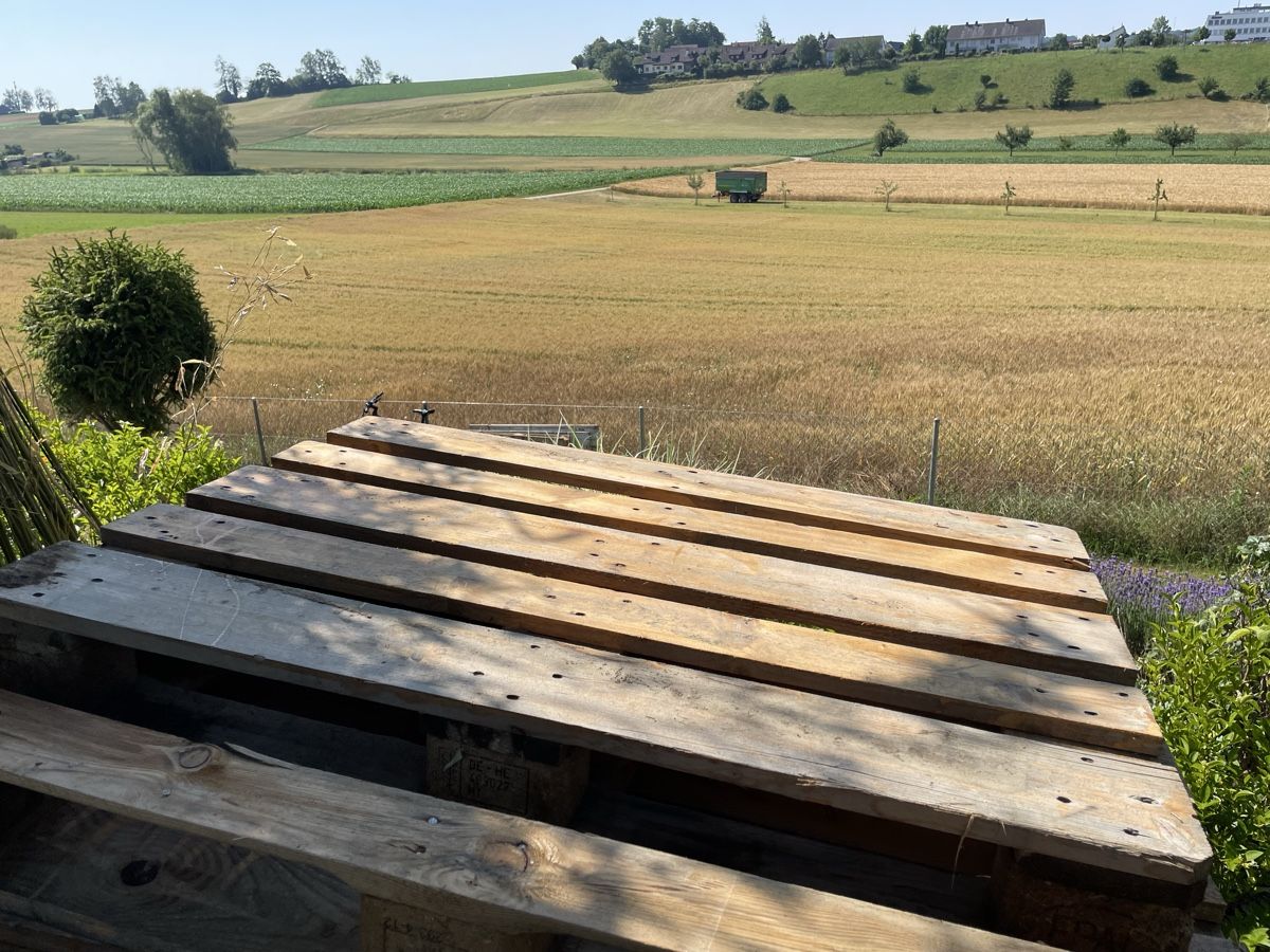 Pallets: 15 Europaletten EPAL – Usato da Schaffhausen venduto da buffy99 4