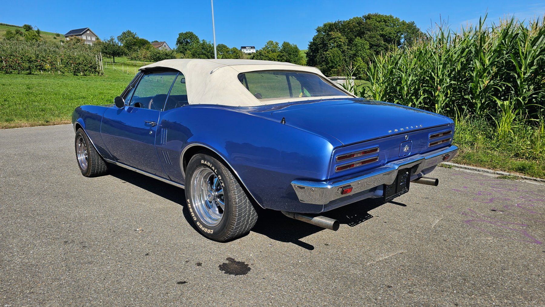 Pontiac Autos: Pontic Firebird – Gebraucht aus Männedorf von Kirribilli 4