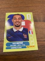 Panini Fra 19