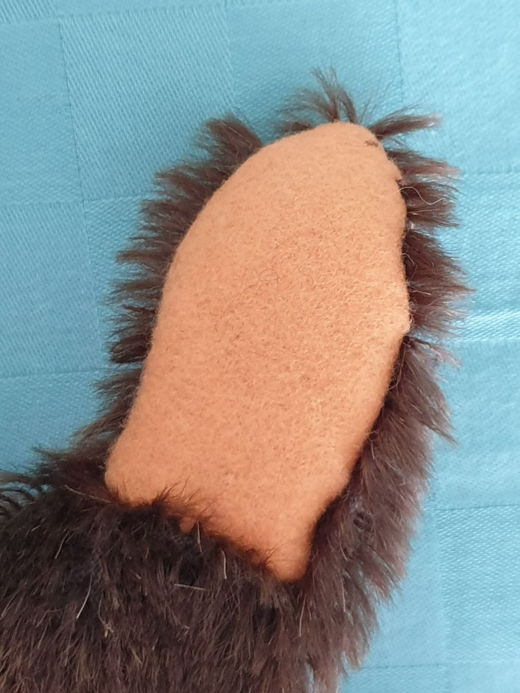 Statuette: Bär Handpuppe STEIFF – Usato da Mörschwil venduto da spirspi 4