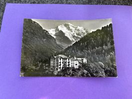Interlaken Hotel Regina Palace&Jungfrau, alte Ak, ungelaufen