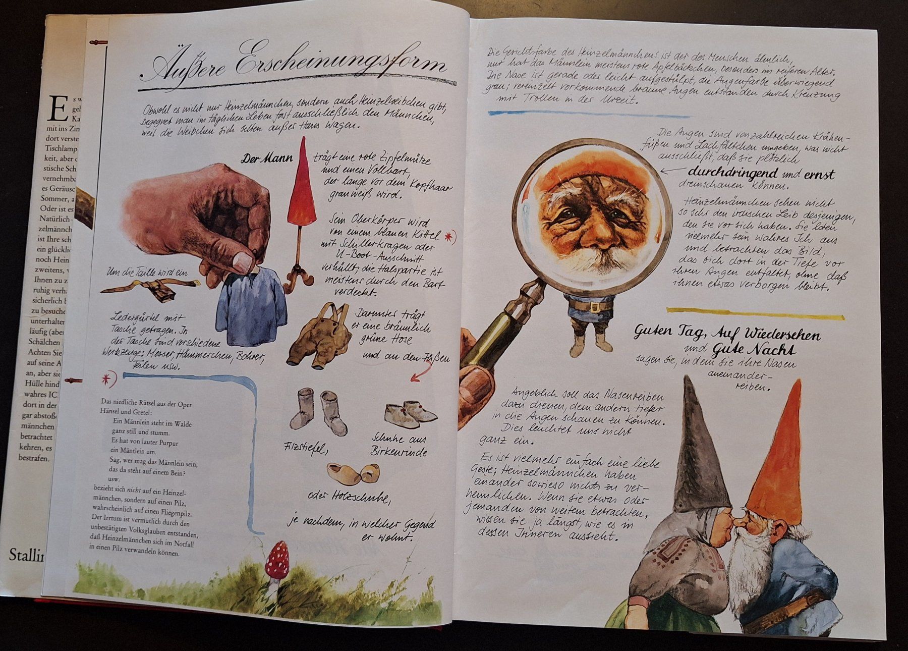 Libri: Das grosse Buch der Heinzelmännchen – Usato da Opfikon venduto da Carslo5 3